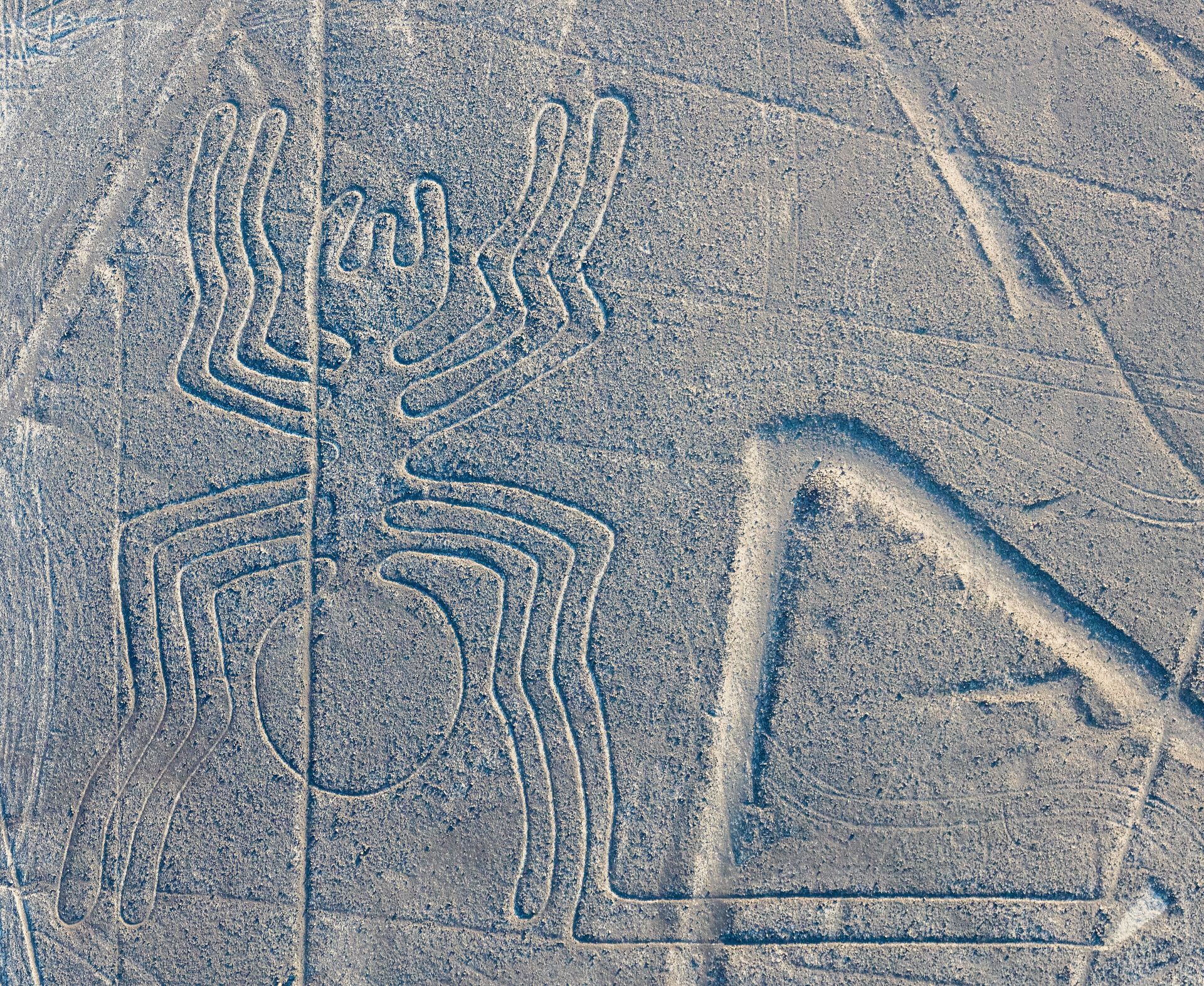 Test de cunoștințe generale: Creatorul desenelor Liniile Nazca