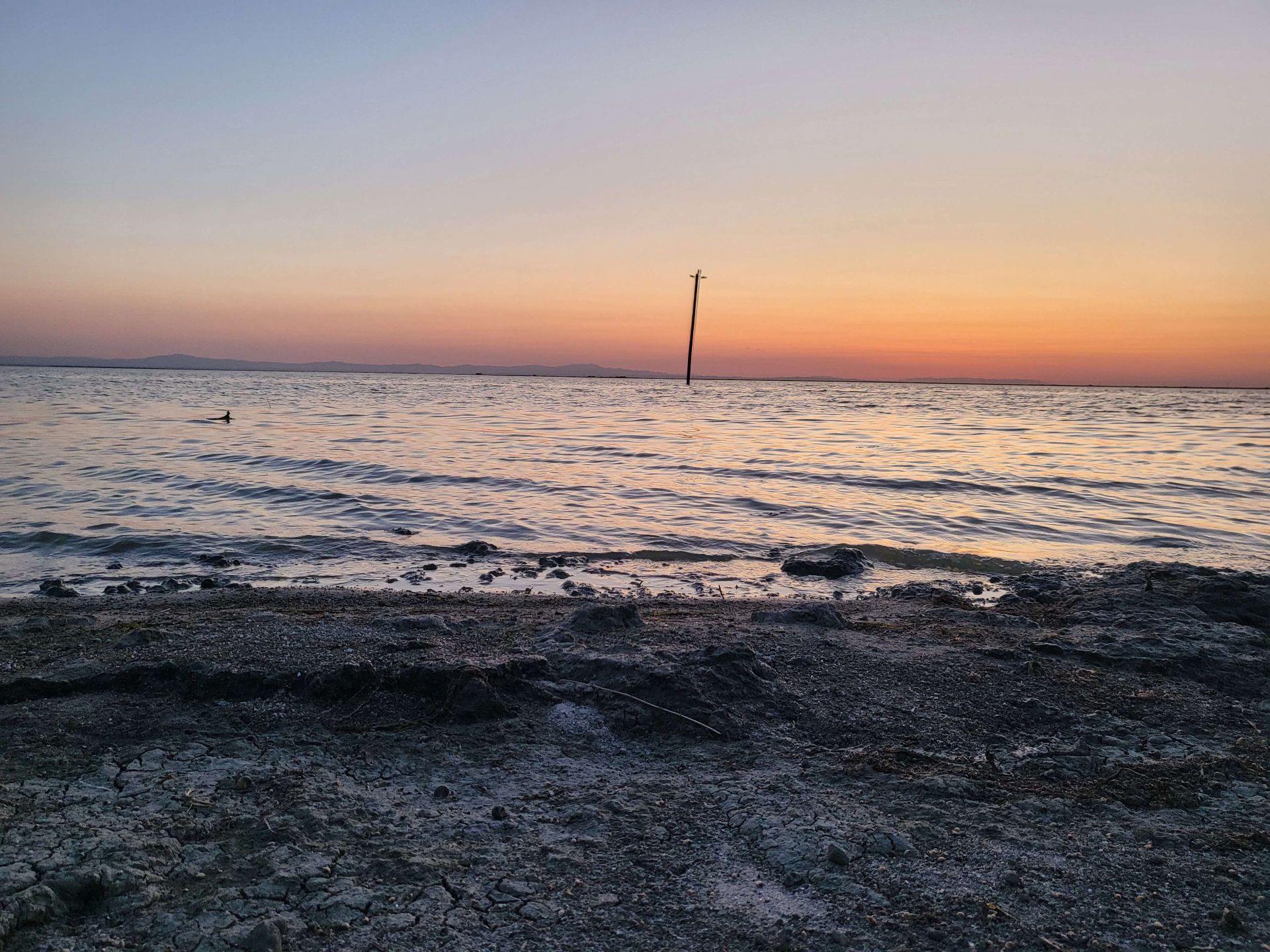 Un lac din Statele Unite s-a reapărut după ce a fost golit timp de 130 de ani, apoi a dispărut din nou.