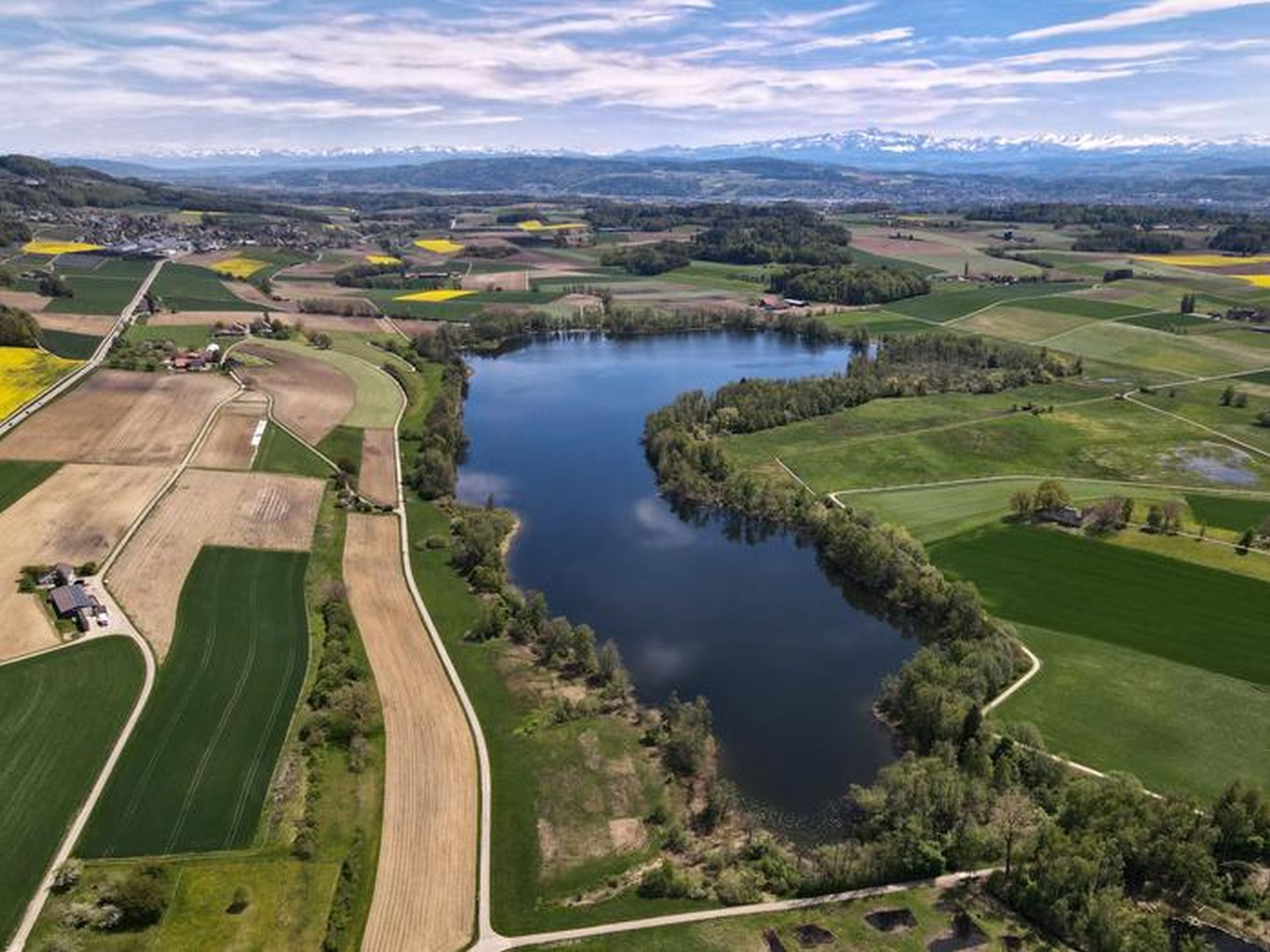Activitatea umană nu a afectat întotdeauna biodiversitatea, potrivit cercetătorilor.