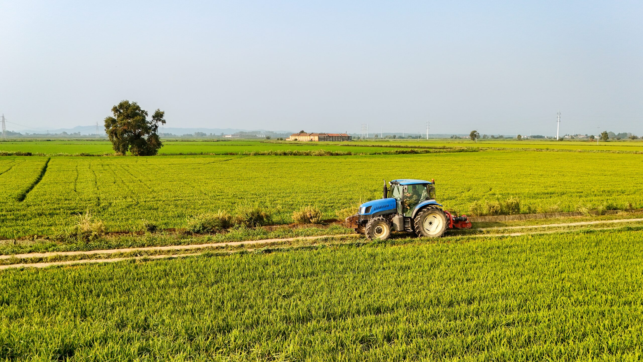 Parlamentul European a aprobat un pachet de inițiative pentru susținerea agricultorilor.