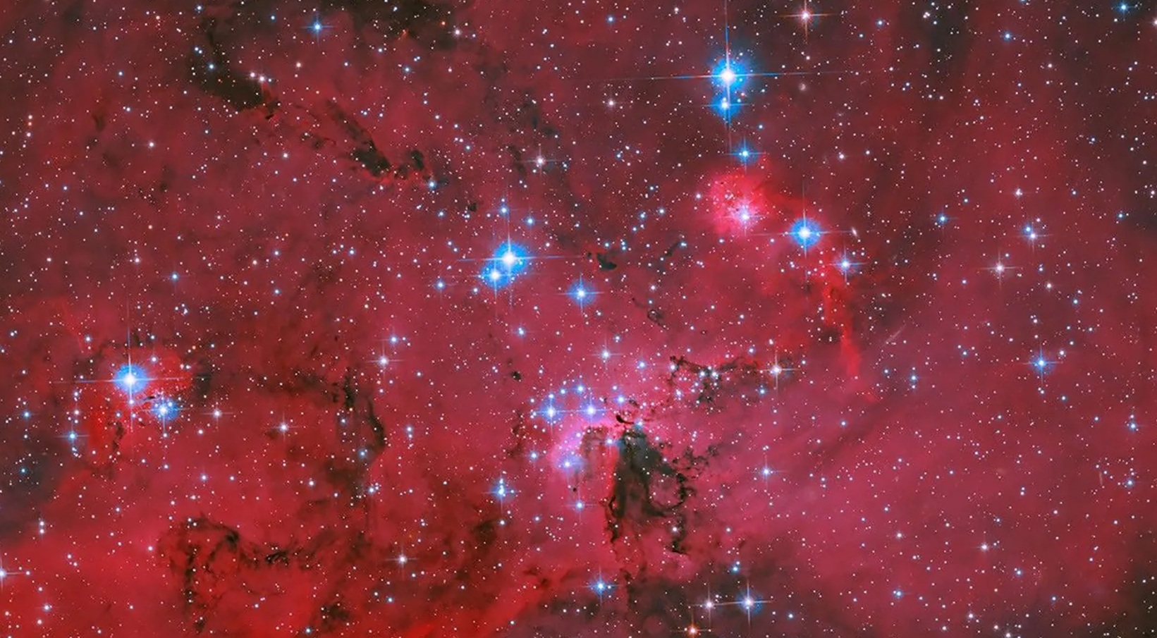Telescopul Hubble al NASA a surprins o fotografie uimitoare a unei grădini de stele