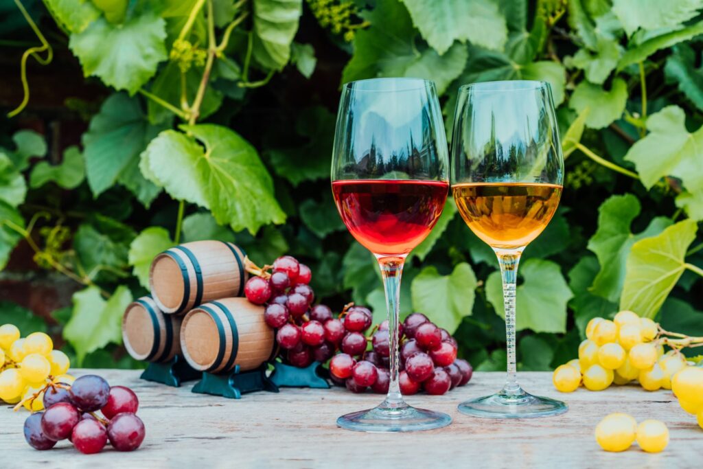 Alb sau roșu: care sortiment de vin provoacă mai multe neplăceri gastrice?
