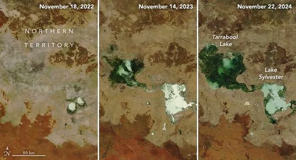 Două lacuri s-au unit în Australia după o perioadă de doi ani cu ploi intense.